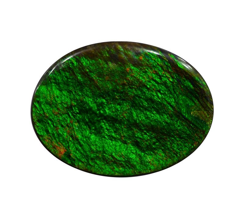Ammolite