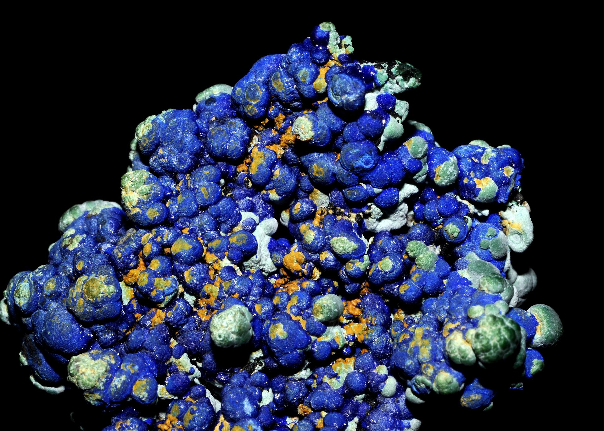 Bluebird Azurite