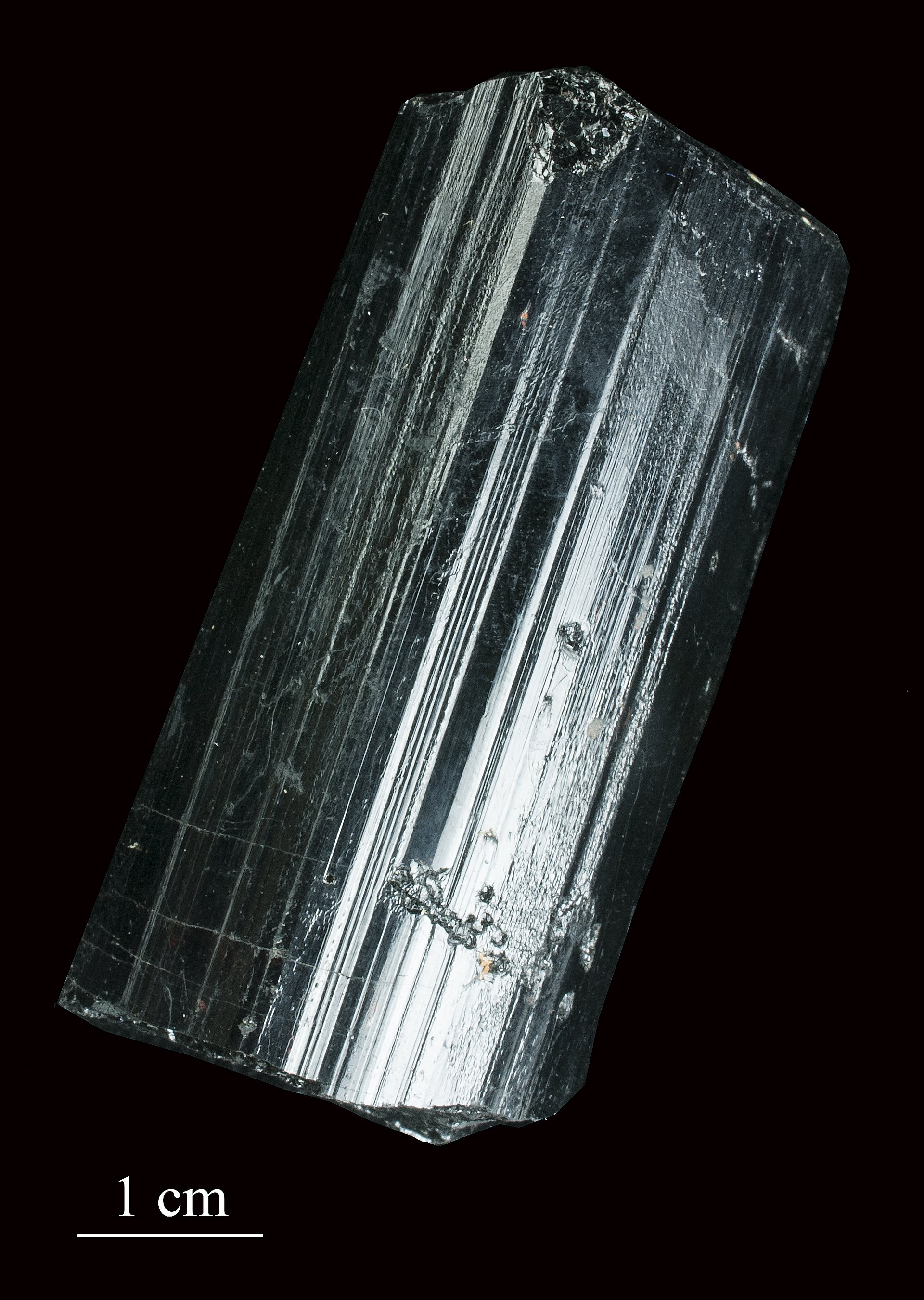 Cat's eye tourmaline cabochon showing sharp chatoyant band in vivid green