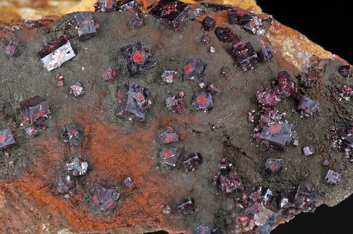 Cuprite specimen showing deep red cubic crystals on rock matrix on neutral background