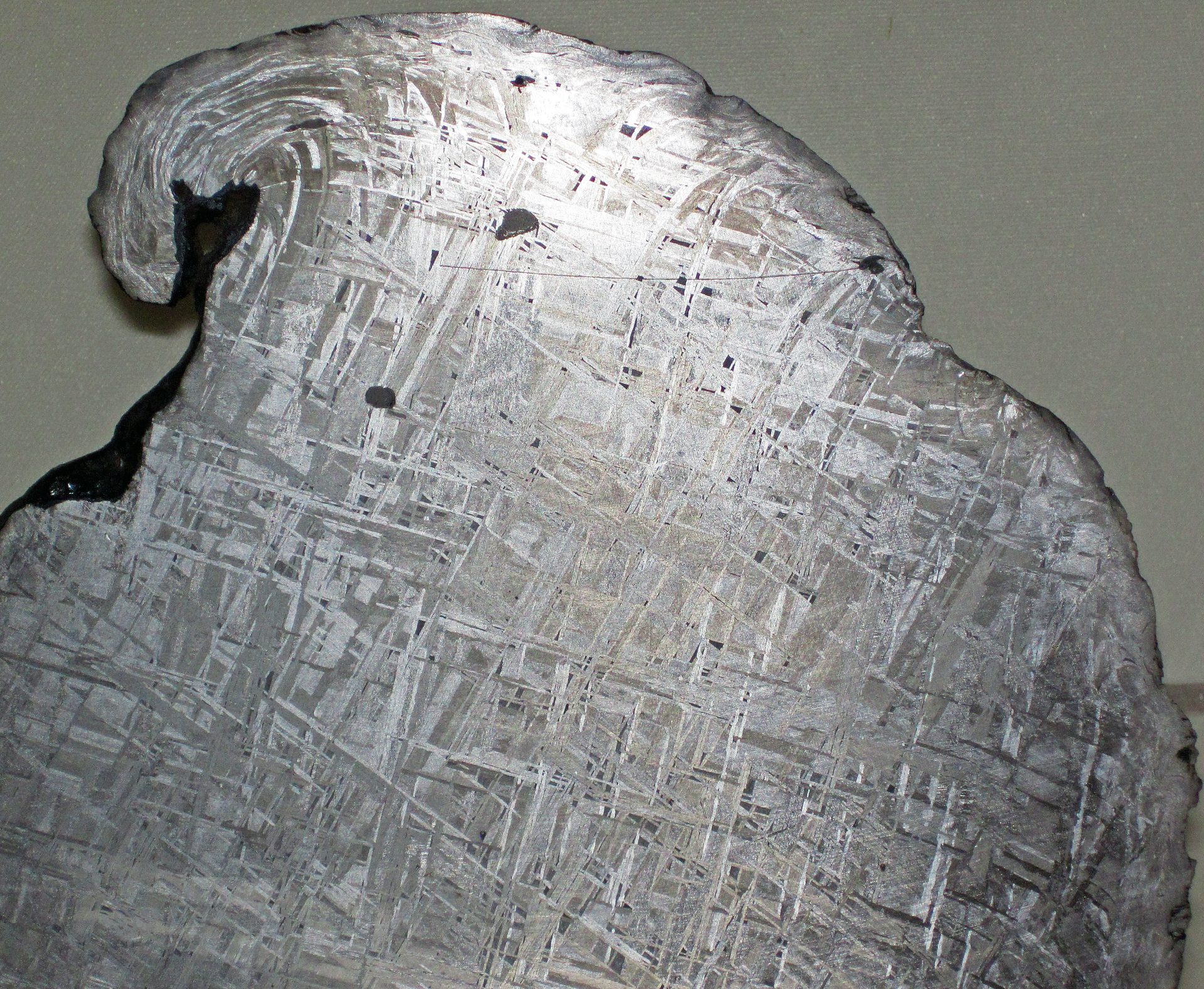 Polished Gibeon meteorite slice showing silver Widmanstatten crosshatch pattern on dark background