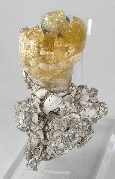 Polished Golden Calcite cluster showing bright sunshine-yellow translucent calcium carbonate crystals