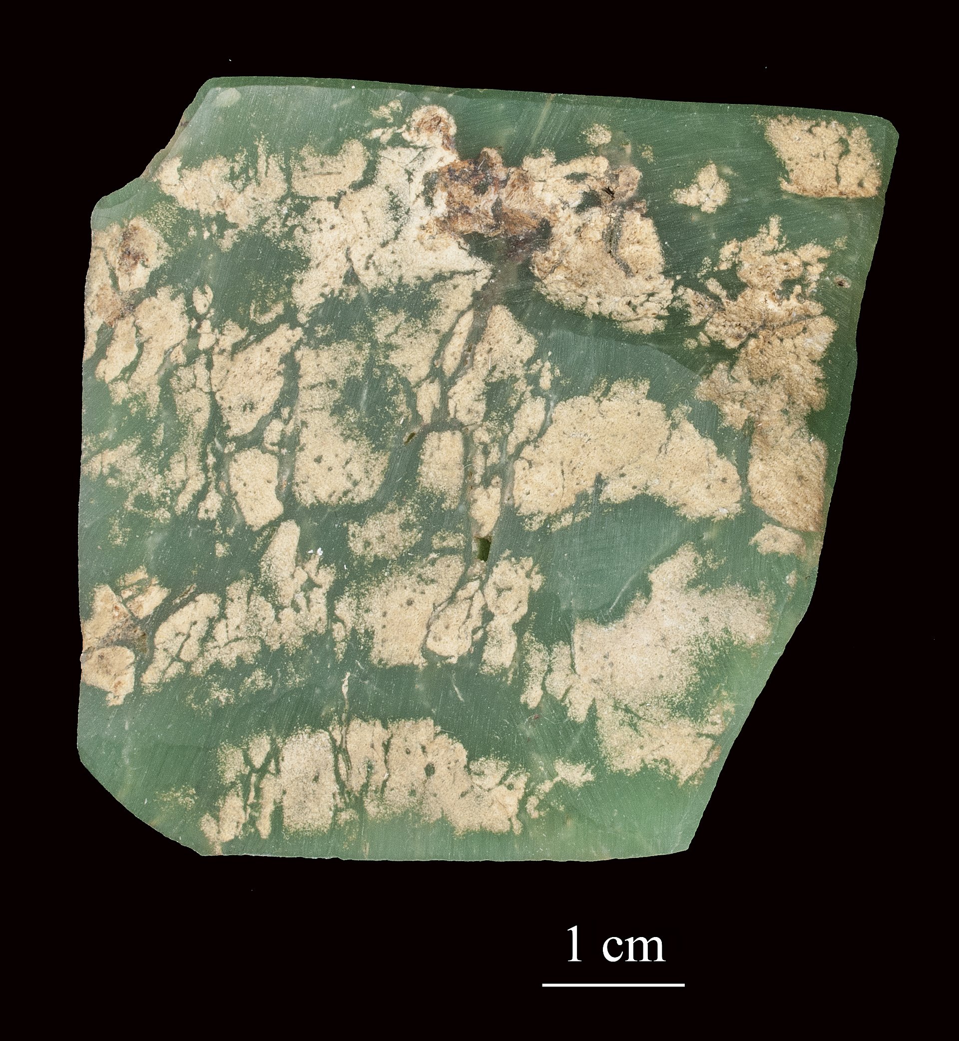 Green chalcedony polished specimen showing fresh mint to sage green translucent color