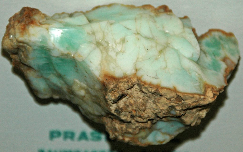 Green opal polished specimen showing fresh grass green to sage color with waxy luster