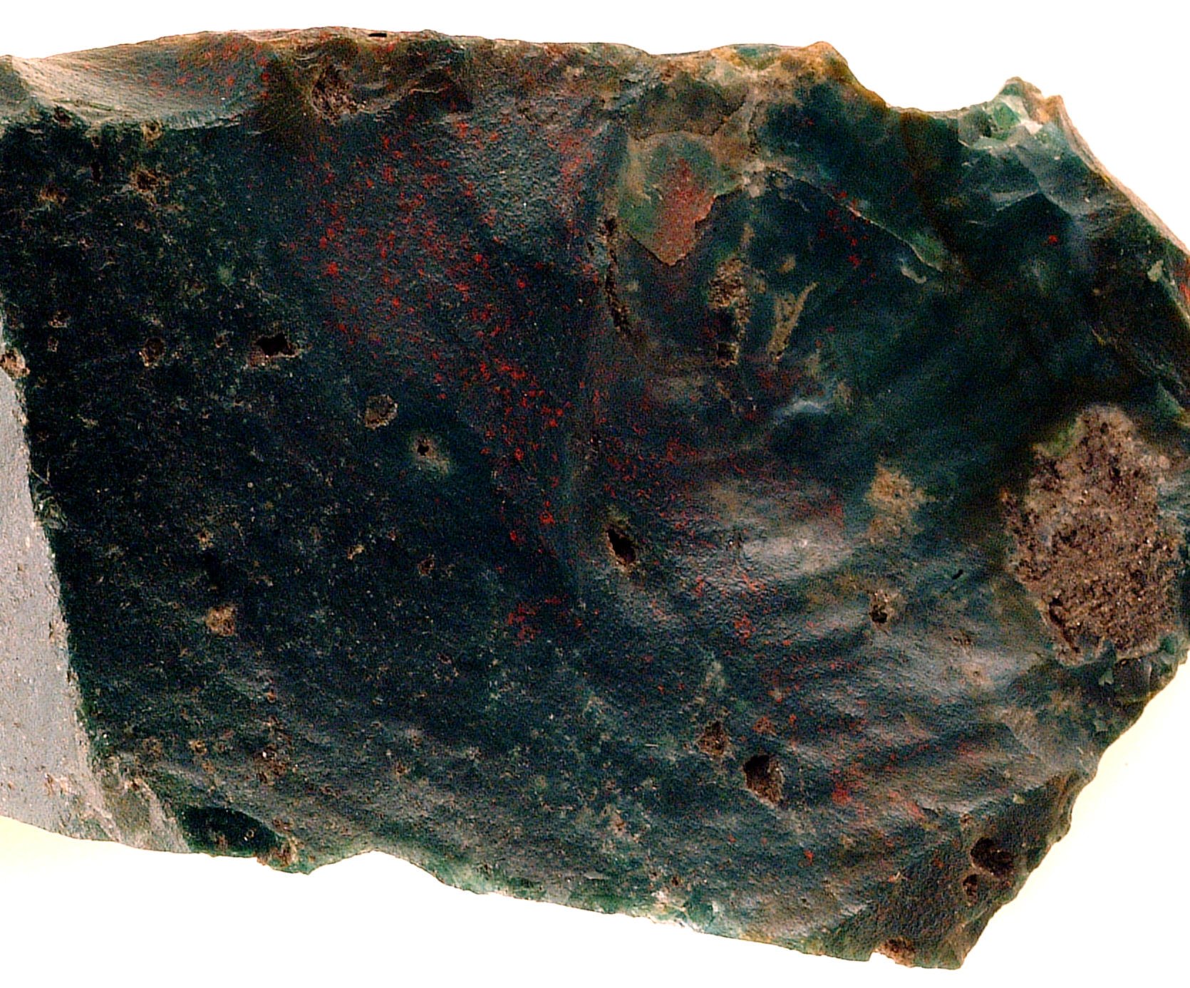 Polished heliotrope bloodstone cabochon showing dark green body with red iron oxide spots on neutral background