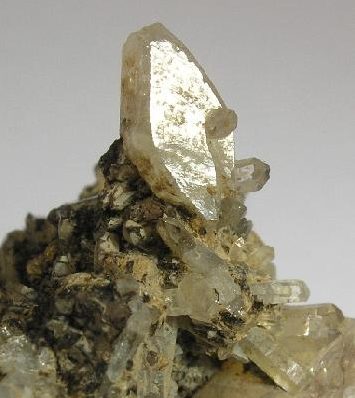 Herderite crystal specimen pale green on neutral background