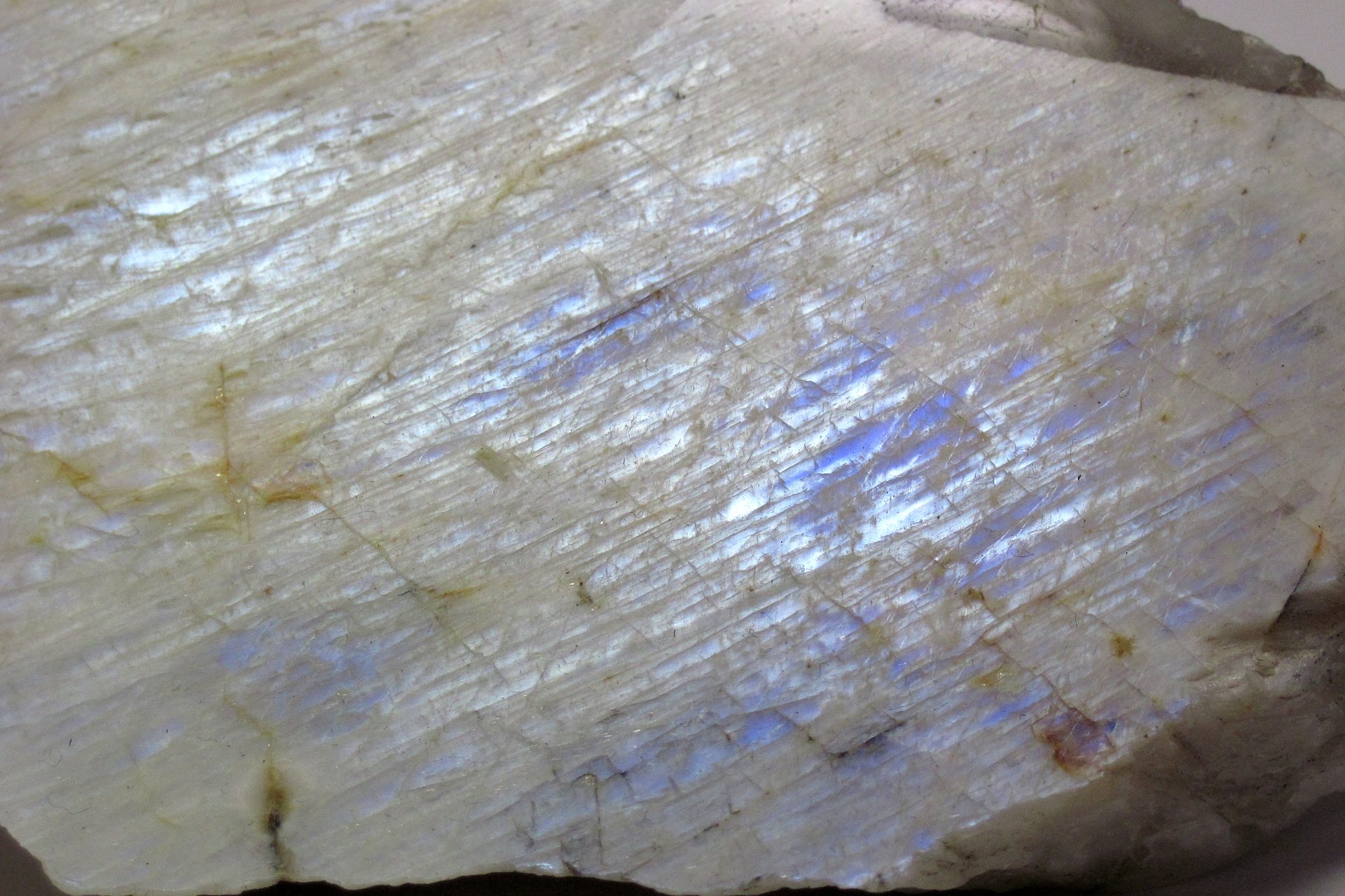 Peristerite cabochon showing white feldspar base with hovering blue adularescence sheen on neutral background
