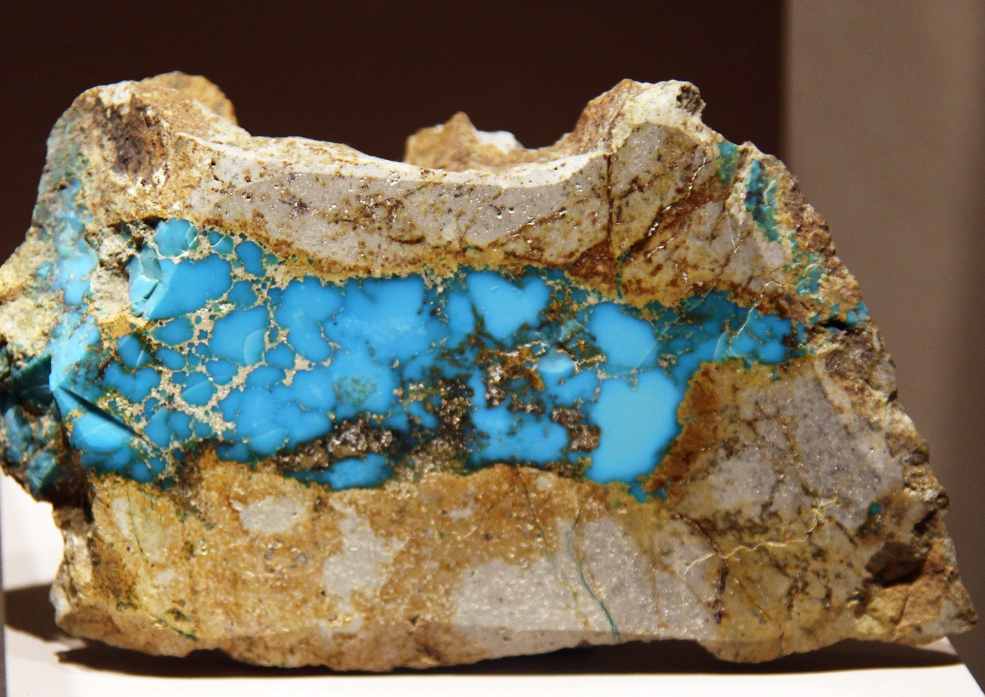 Persian turquoise cabochon showing pure robin's egg blue with no matrix from Nishapur Iran