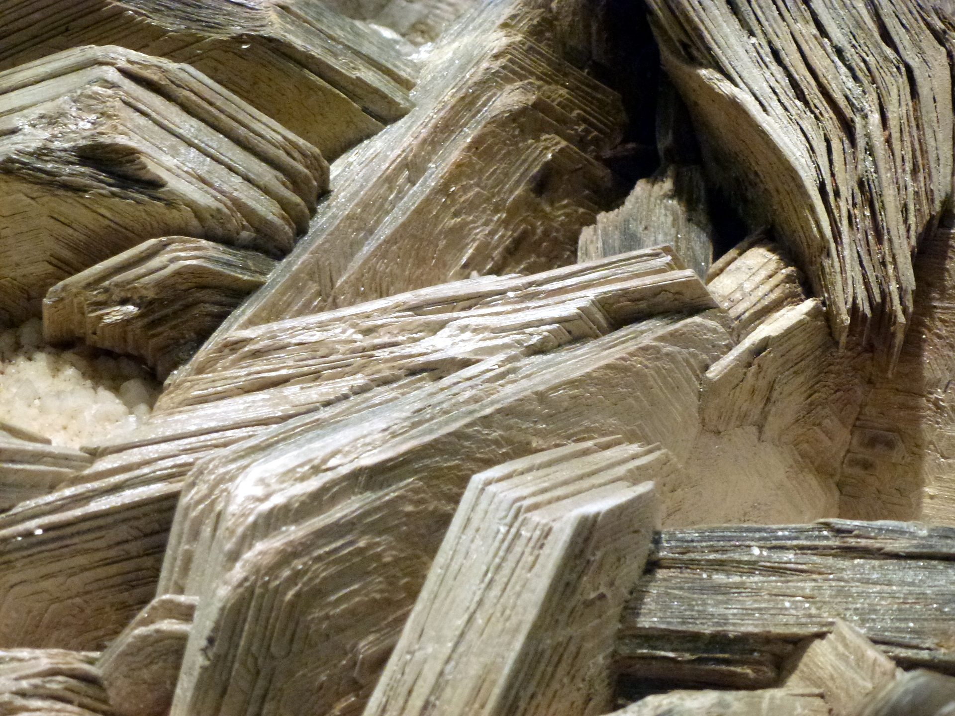 Phlogopite mica specimen showing golden-brown to bronze pearlescent sheets with characteristic cleavage