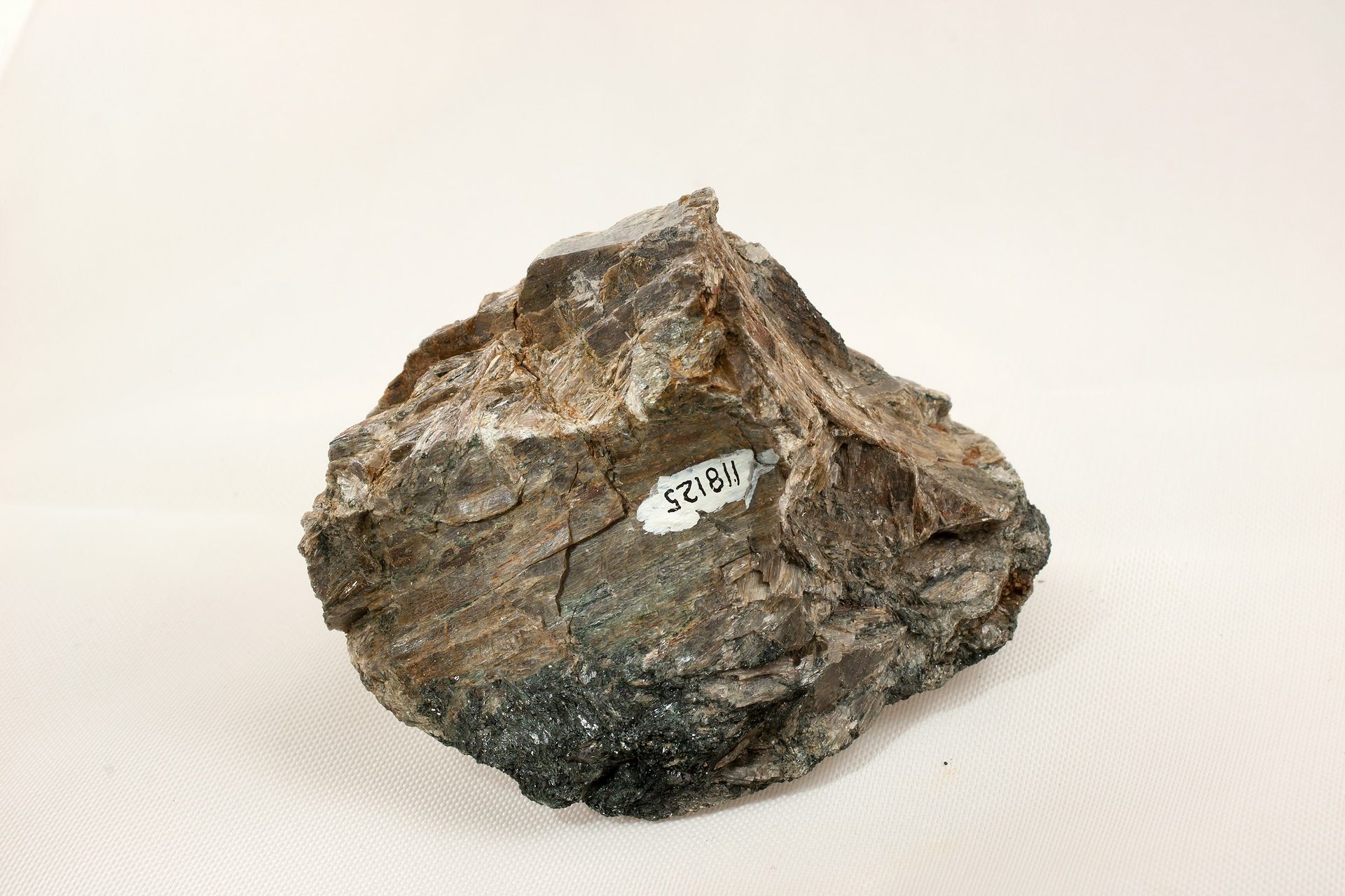 Prophecy Stone specimen showing dark brown and golden tan coloring with natural sculptural form on white background