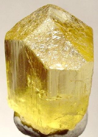 Faceted yellow scapolite gemstone showing golden clarity on neutral background