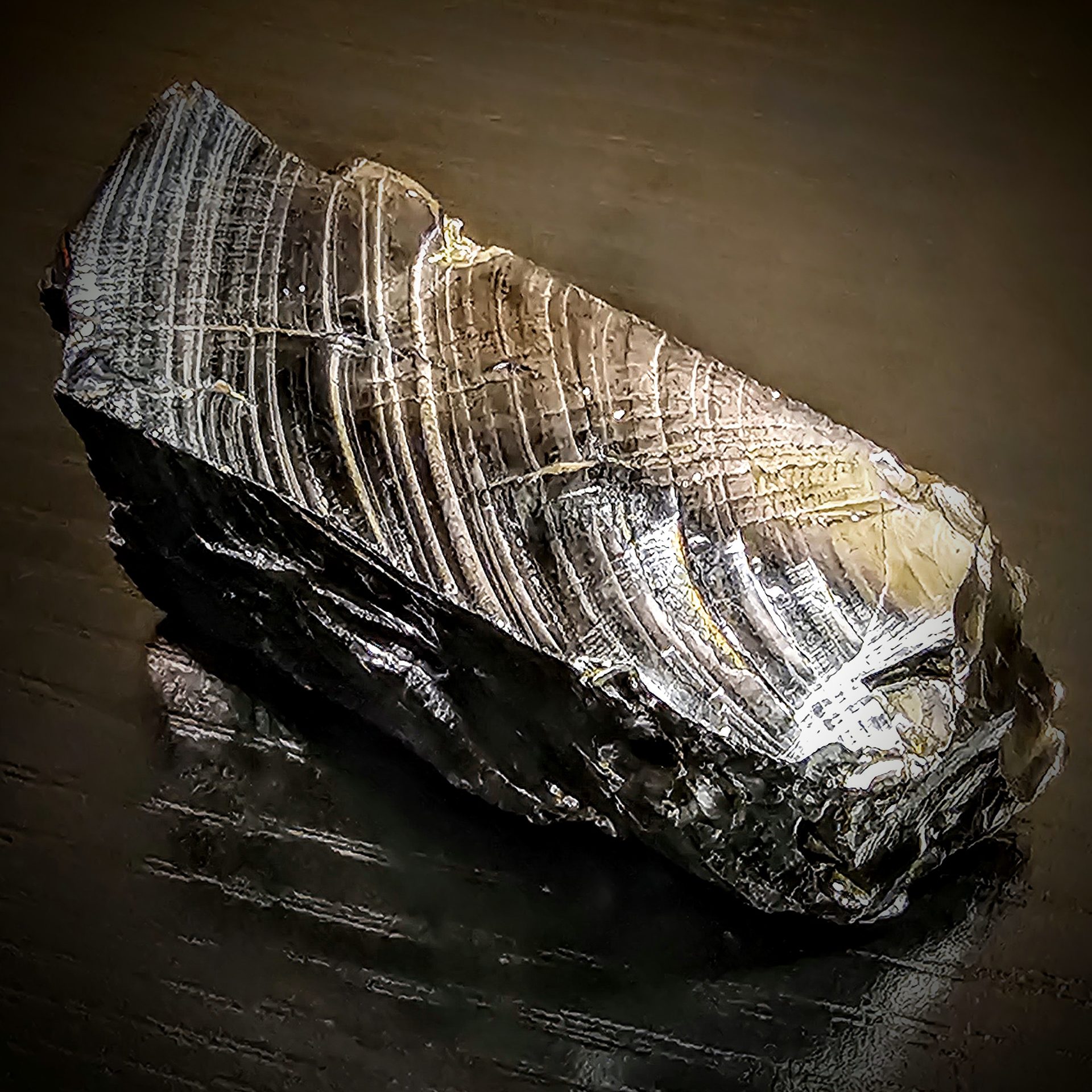Elite Shungite