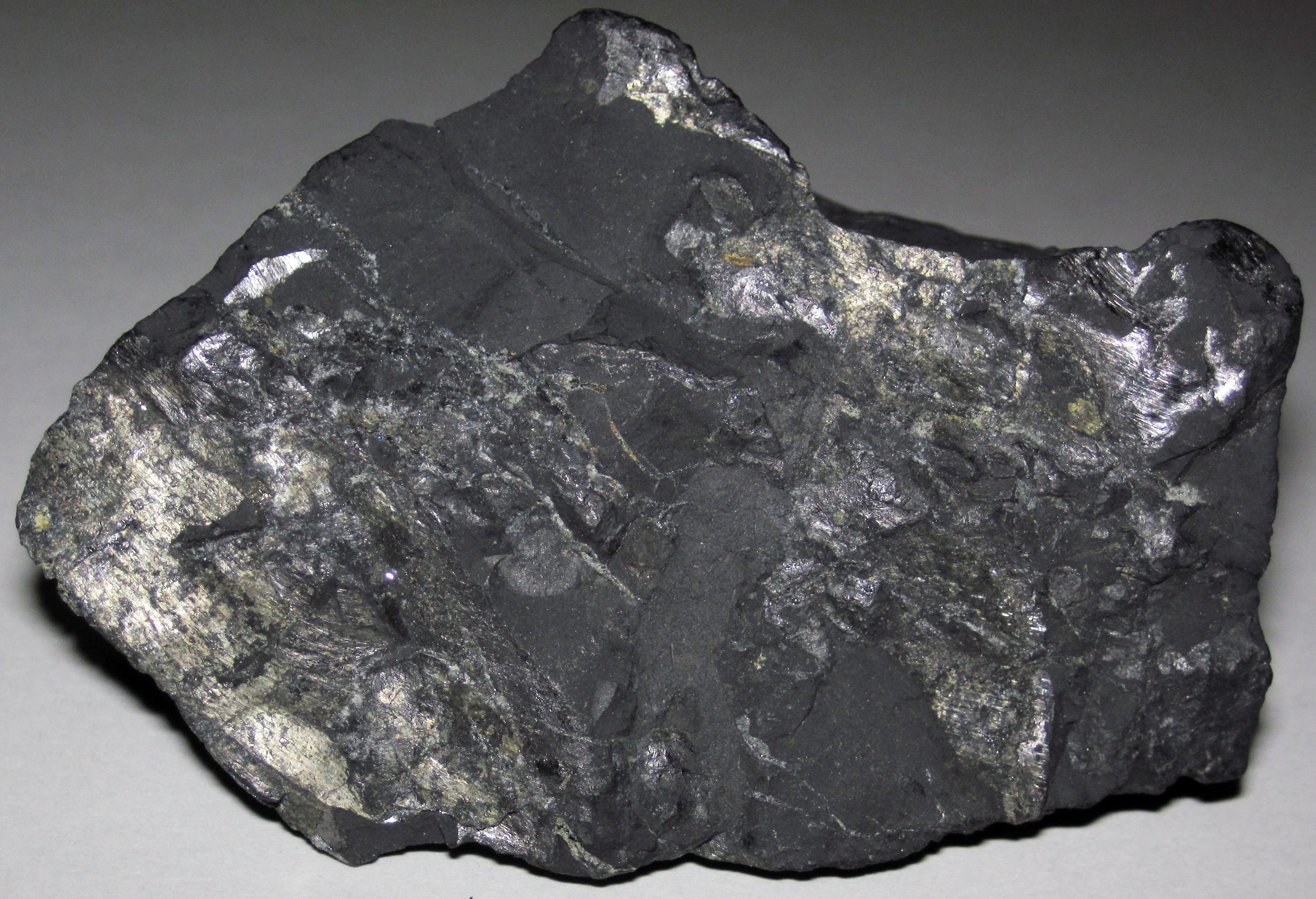 Shungite polished black tumbled stones showing matte and semi-lustrous surface on neutral background