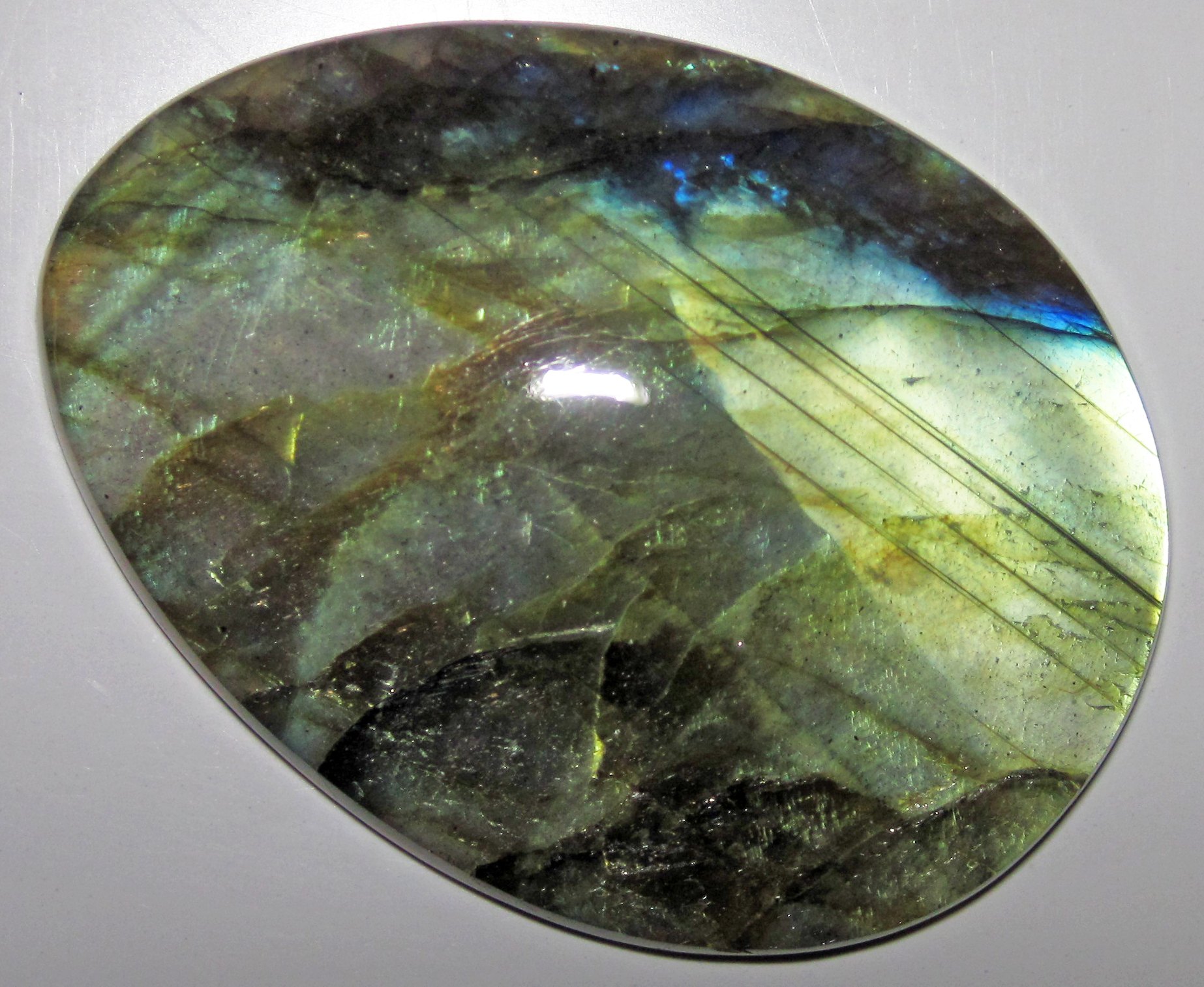 Spectrolite polished cabochon showing full spectrum of rainbow labradorescence on neutral background