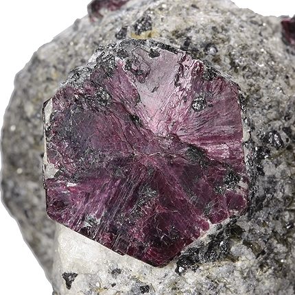 Trapiche ruby cross-section showing six-spoke star pattern