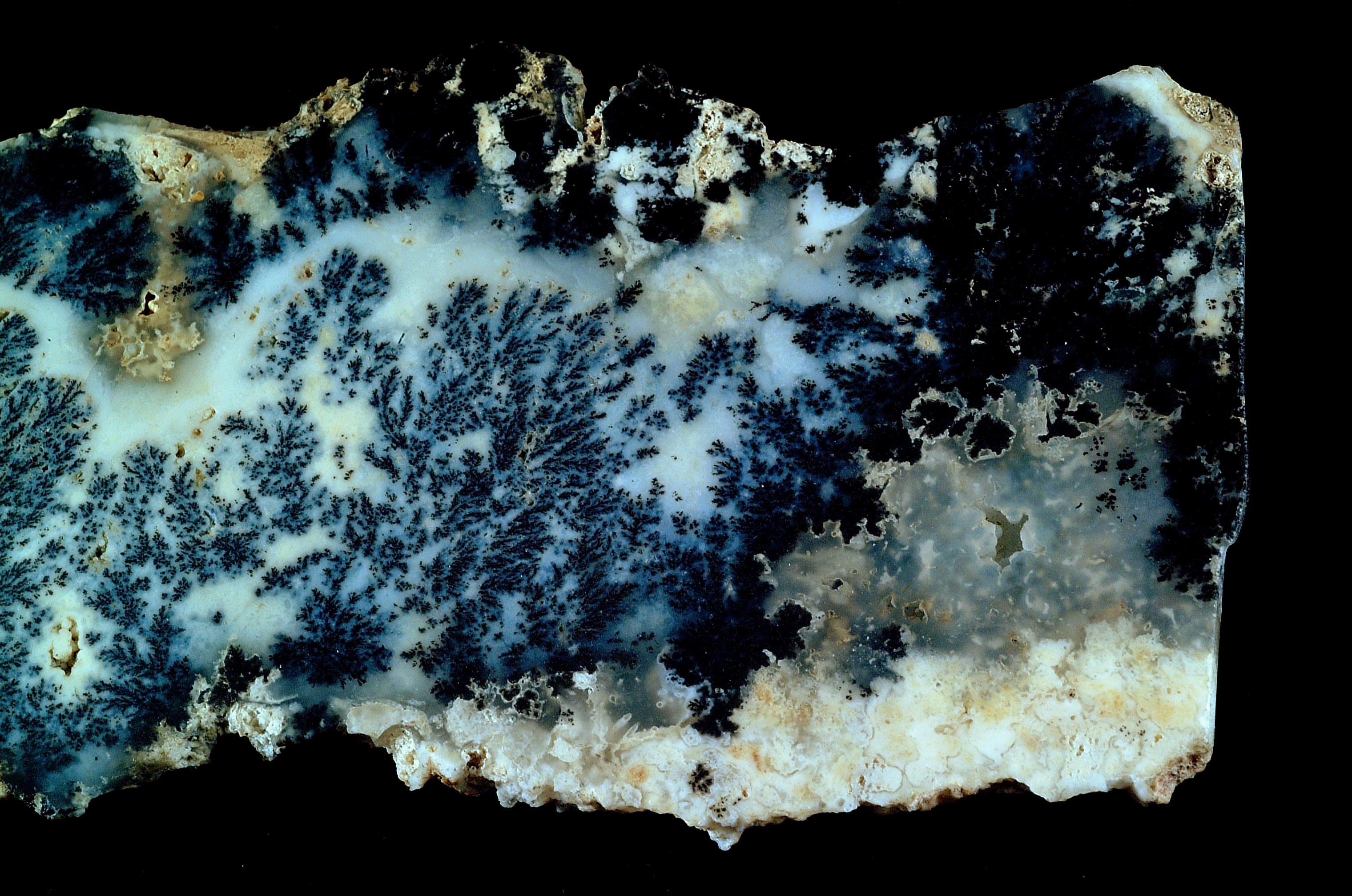 Polished tree agate cabochon with white body and green chlorite tree-like inclusions on neutral background