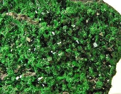 Vivid green uvarovite garnet druzy crystals on dark matrix